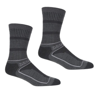 Women's Samaris 3 Season Socks Briar Light Steel