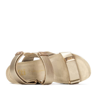 Multi Strap Wedge Sandal | Gold