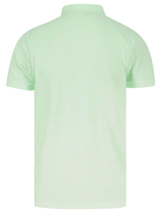 Jaxon Polo | Hint Of Mint