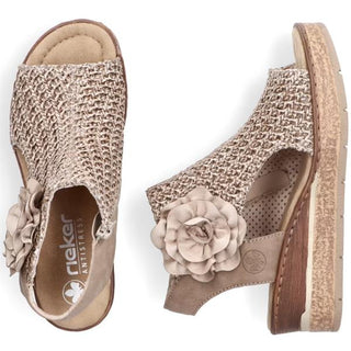 Rose Wedge Sandal | Marble Shell