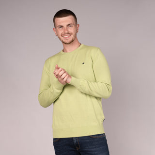 Ariana Crew Neck Knit | Pistachio