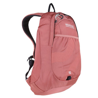 Bedabase II 15L Backpack | Dusty Rose
