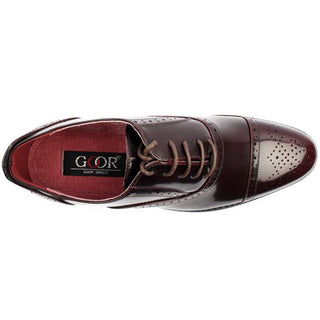 Oxford Brogue Tie Shoe | Ox Blood