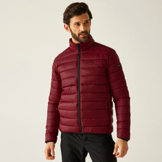 Men's Marizion Padded Jacket | Dark Maroon