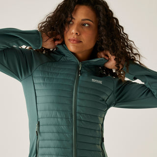 Women's Clumber Hybrid Jacket | Spruce Green