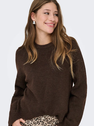 Simoni Long Sleeve Round Neck Pullover  | Coffee Bean