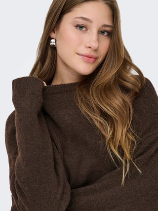 Simoni Long Sleeve Round Neck Pullover  | Coffee Bean