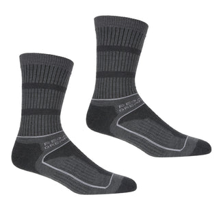 Women's Samaris 3 Season Socks | Briar Light Steel